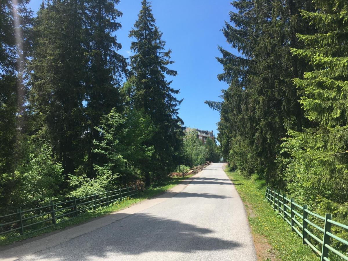 Apartman S Vyhladom Na Stity Ovruc 312 Štrbské Pleso Buitenkant foto
